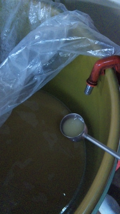 ���ð����������ɥ�(2010ǯ10��27��)�פβ���