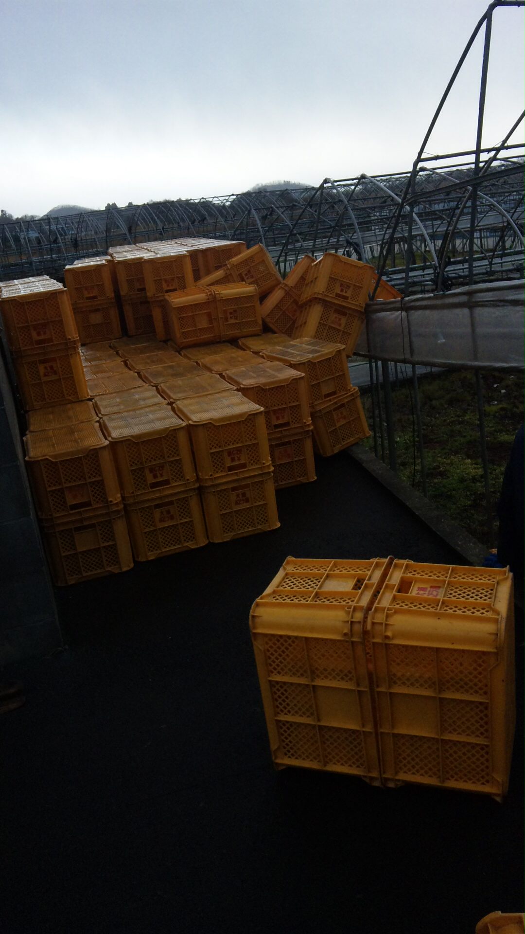 2010/12/04 22:27 ����