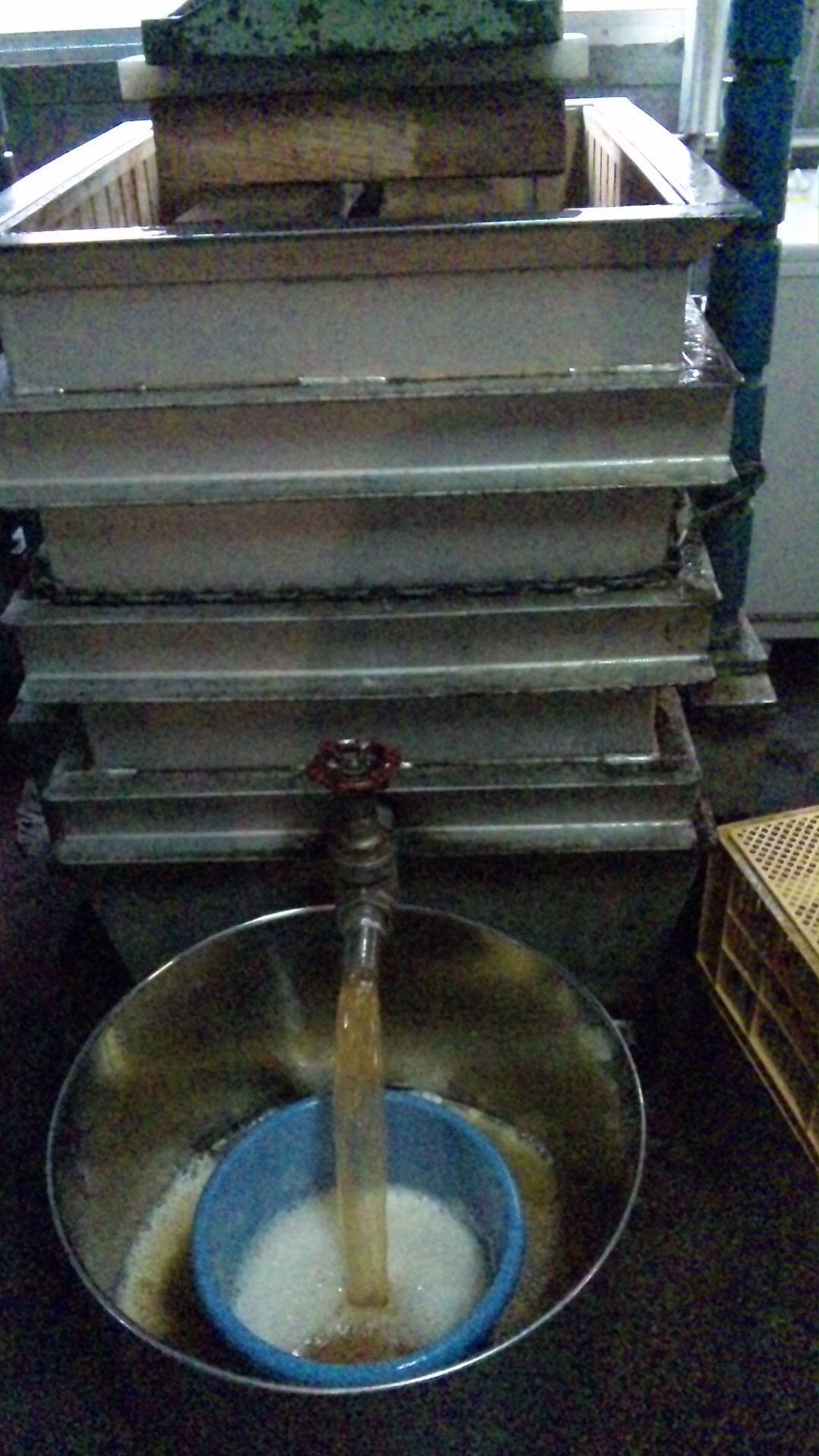 2010/12/11 22:00 ��󥴥��塼���Ź���