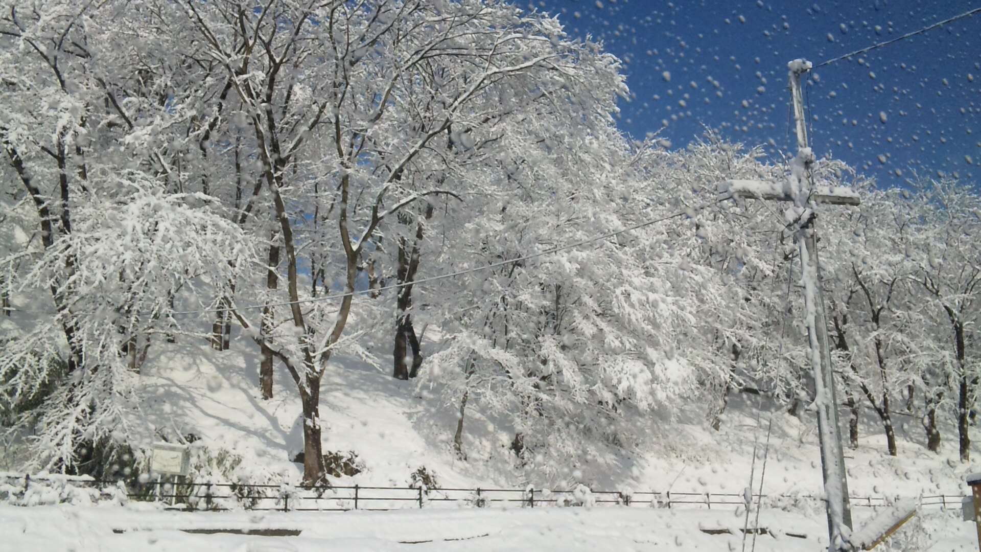 2011/01/06 22:10 ��˹�һ�����ʿ�