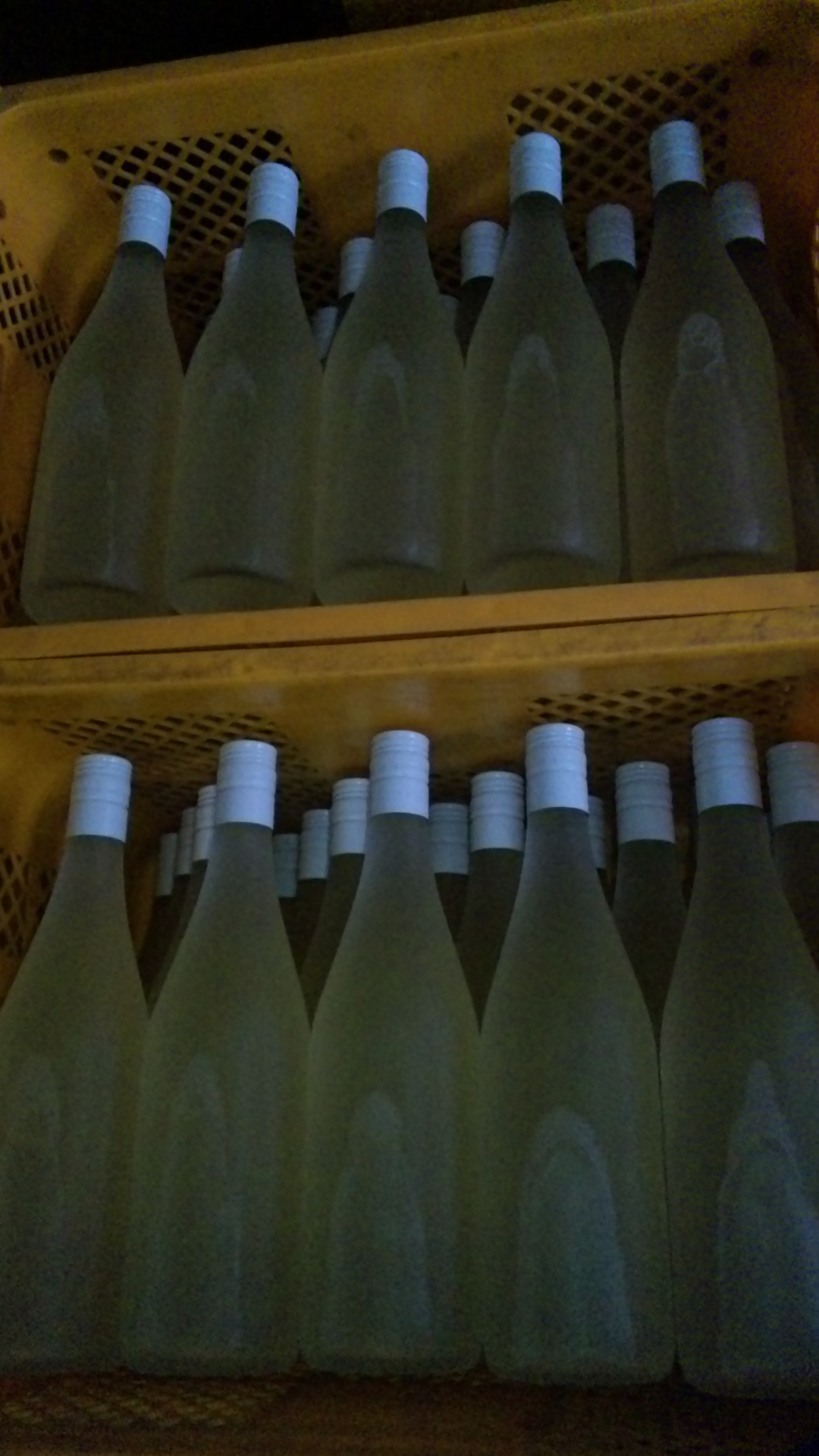 2011/01/15 21:59 �ؤ����ˤ���ʥ�������2010�ٽ�Ŷ