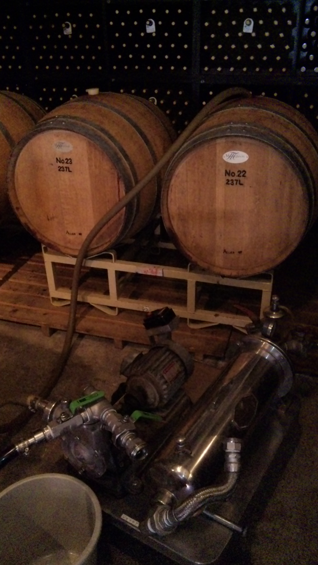 2011/02/23 17:49 î�Ф�(����)