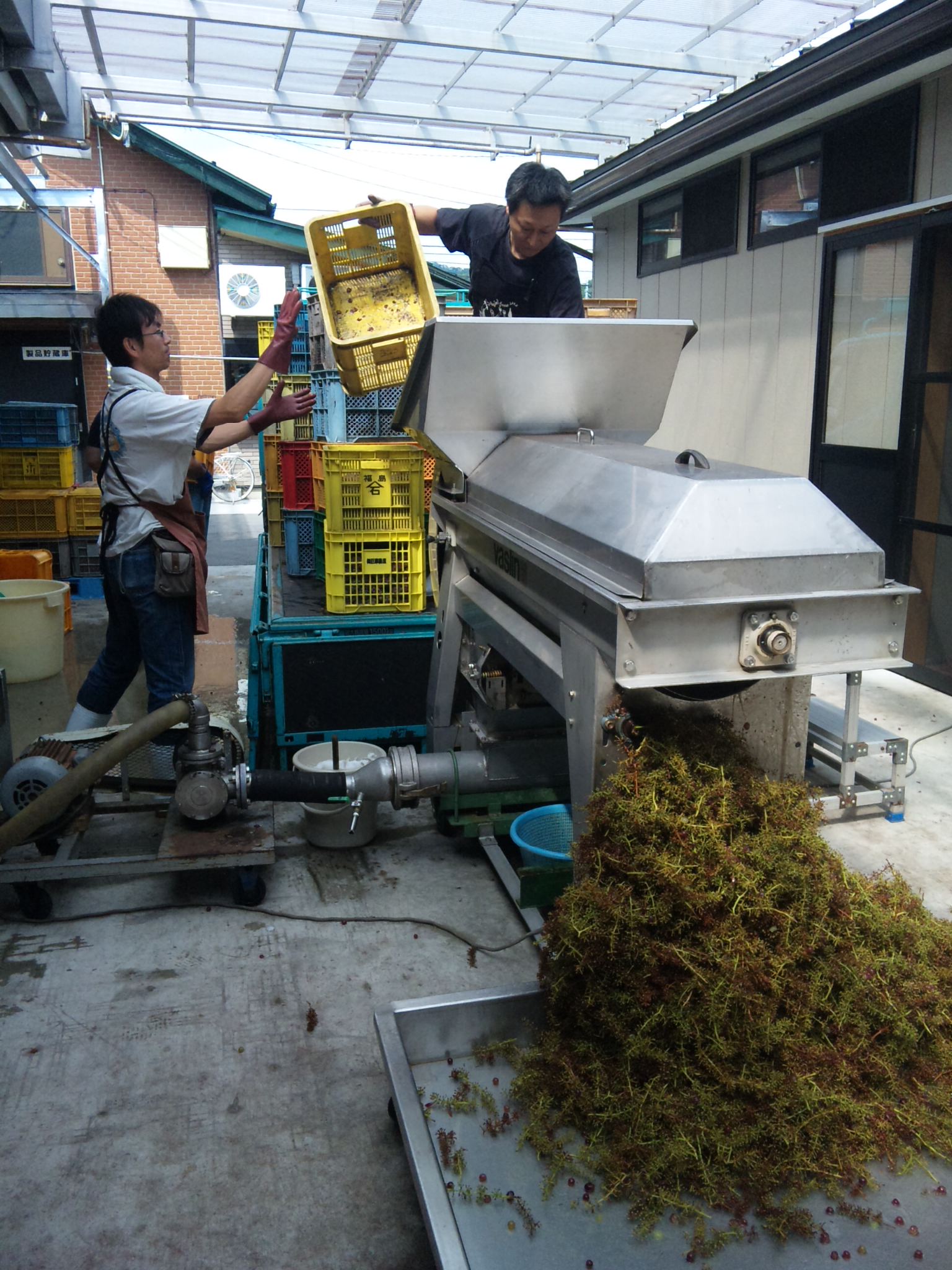 2011/08/25 22:38 �磻��Ź��ߡ��ǥ饦������(2011ǯ8��24��)