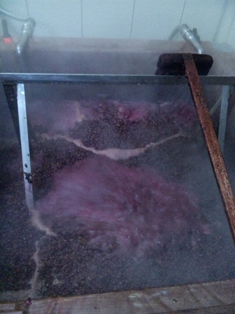 �ָ��ջŹ��ߡ����٥�͡����������˥��(2012ǯ11��9��)�פβ���