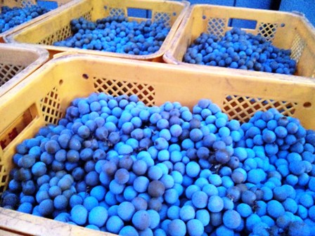 ��2012ǯ�饹�ȤΥ磻��Ź���(ɹ��ʥ�������)�פβ���