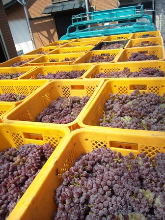 ��2013ǯ��Ź��ߡפβ���