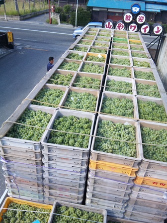 �֥ʥ�����������פβ���