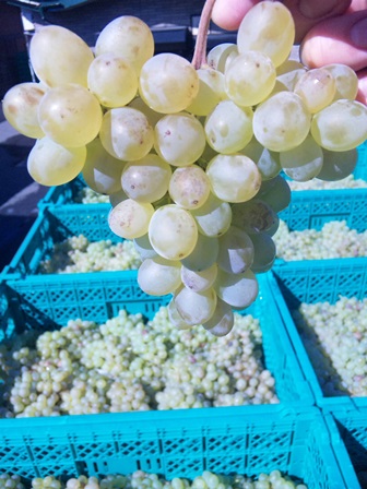 �֥磻��Ź��ߡ������٥�(9��18��)�פβ���