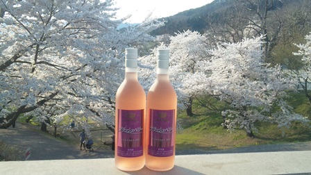 �֤��ָ��ˤ�������Υ磻��إ֥�å���٥꡼�١פβ���