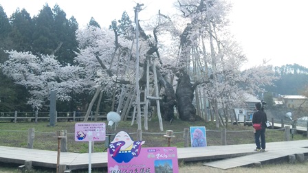 ��Ĺ��԰˺����ε��ݺ��פβ���