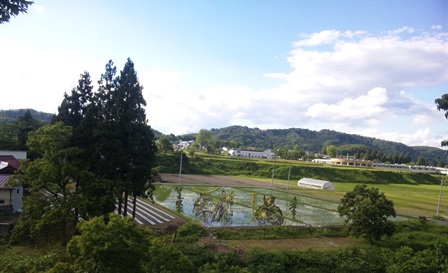 「田んぼアート」の画像
