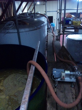 �֥磻��Ź��ߡ��ʥ�������(9��13��)�פβ���