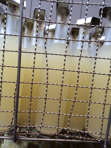 �֡�������2014���ӵͤᤷ�ޤ����פβ���