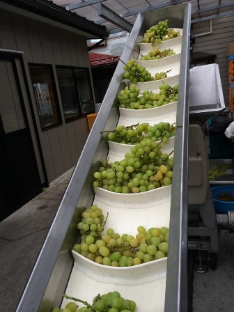 �֥��㥤��ޥ����åȤν�Ź��ߡפβ���