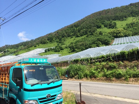 �����ۻԽ���뱫���飱ǯ�פβ���