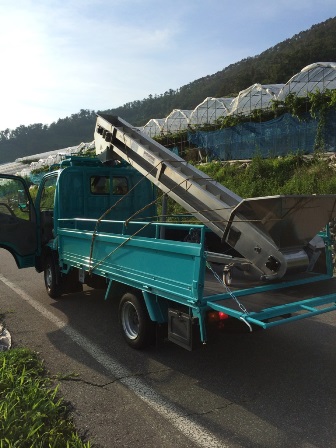 �֥磻��Ź��߽����פβ���