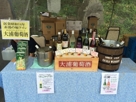 �֡ؤ�ޤ����磻��Х�in���ߤΤ�޲���2016�١פβ���