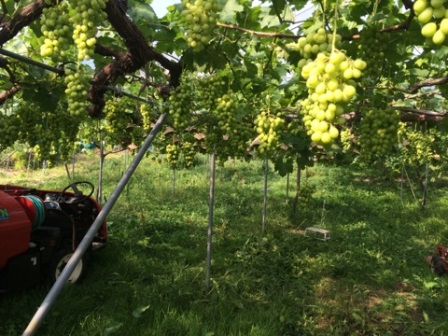 �ֻŹ��߽����פβ���