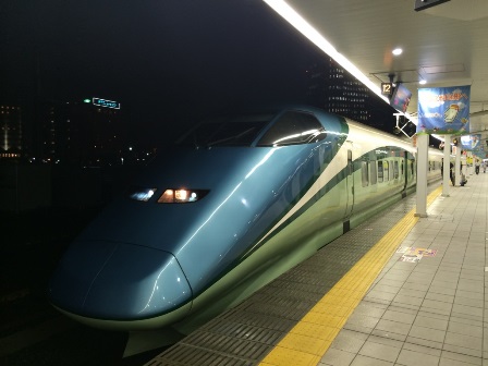 YAMAGATA磻ȥ쥤 ȯפβ