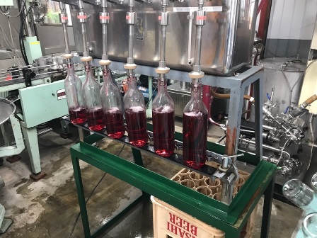 �֡�����̡�������(����)2017�׽�Ŷ�פβ���