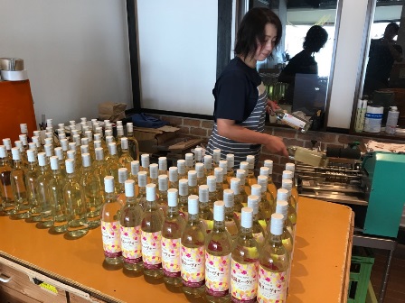 �֡�����̡�������2017�״֤�ʤ�ȯ��פβ���