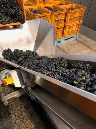 �֥磻��Ź���2017(�١��꡼�����ꥫ���A)�פβ���