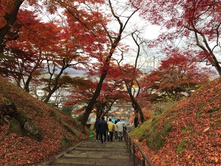 �ֱ�˹�һ��ι��աפβ���