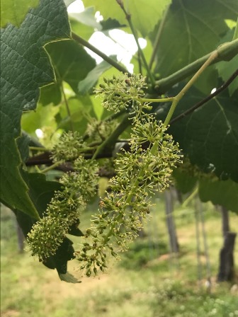 �ֳ��֡פβ���