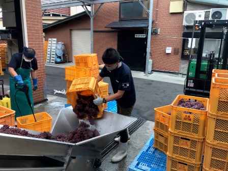 ��2020ǯ�٥磻��Ź��߳��ϡפβ���