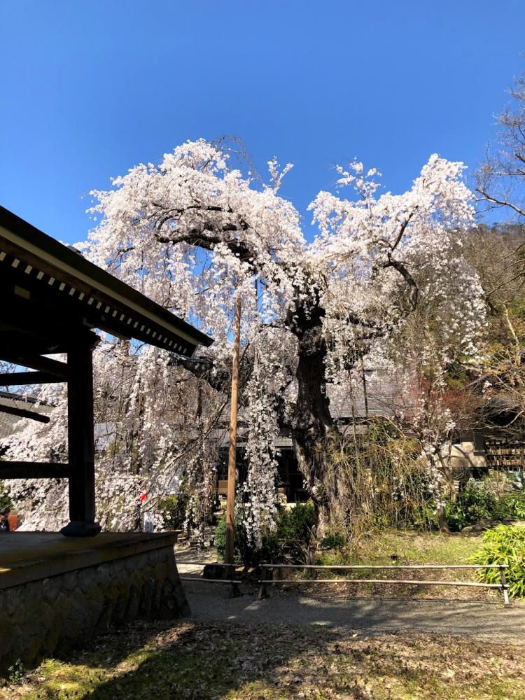 平泉寺と大日堂