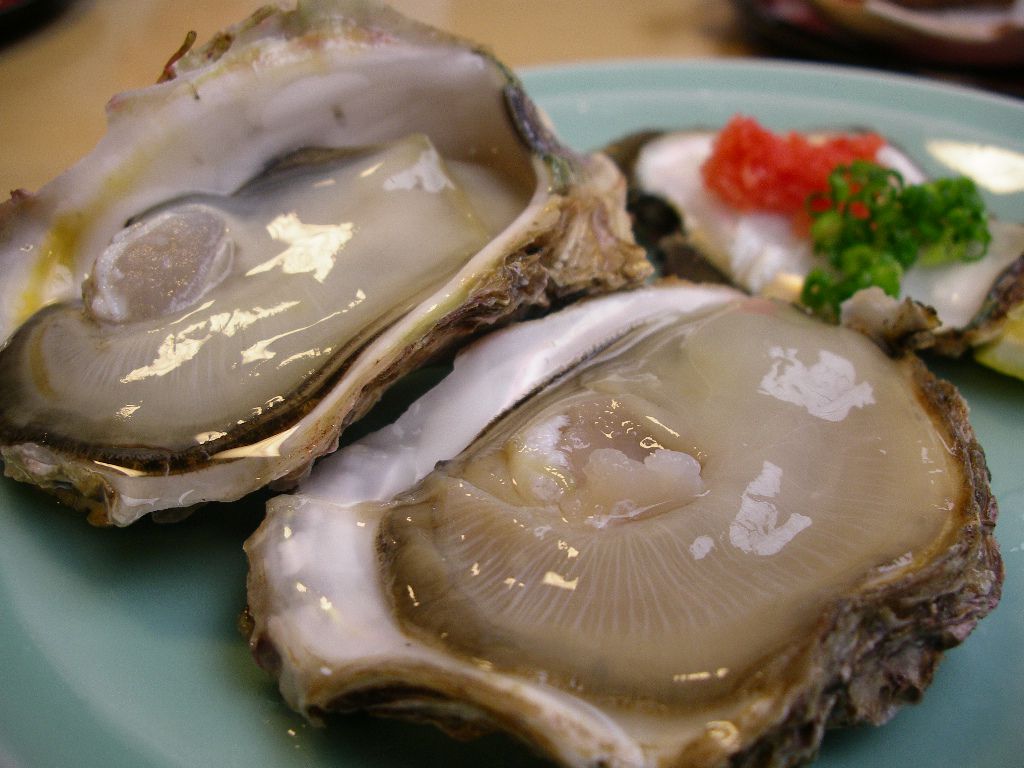 庄内の岩牡蠣（岩ガキ）～うまい鮨勘