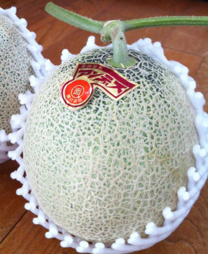 庄内が熱い！