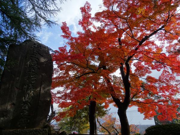 (2016-11-12)  上杉神社