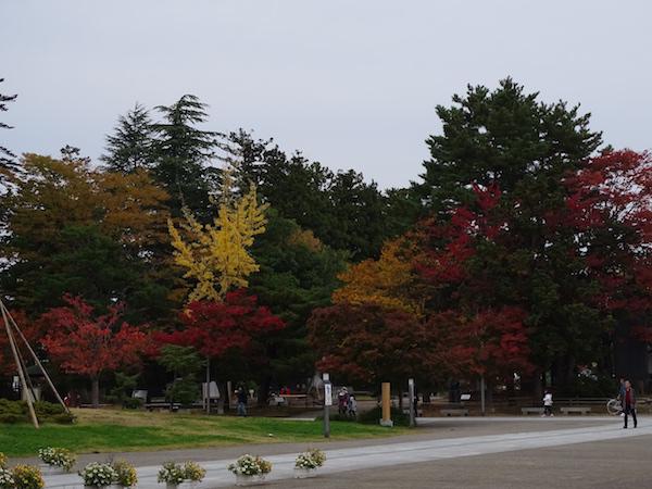 松が岬公園の紅葉