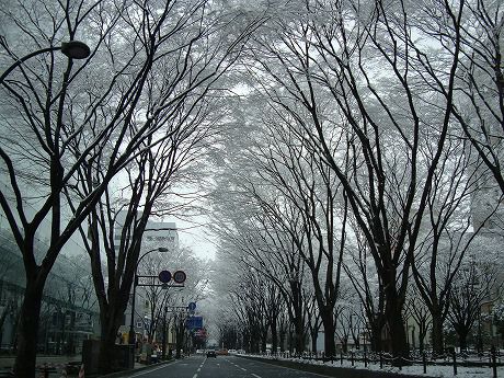 雪景色（仙台市内）