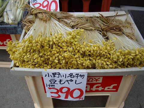 豆もやし（小野川温泉）