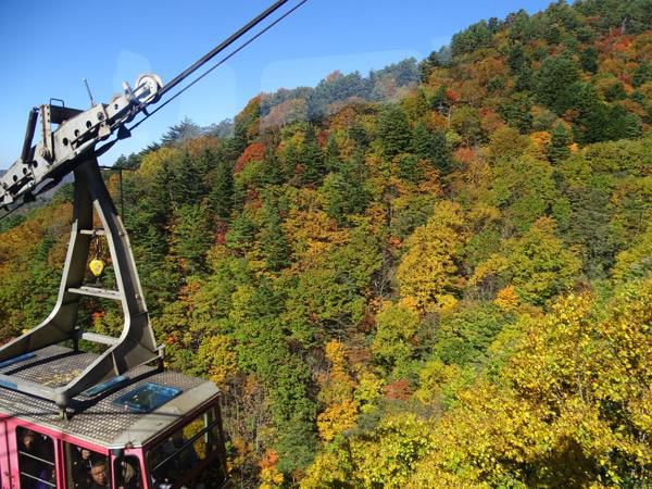 天元台の紅葉