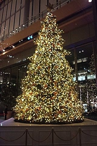 クリスマスツリー (新丸の内ビル1F)