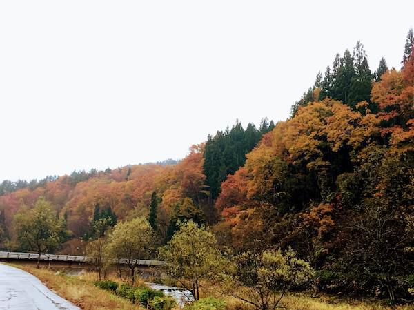 小野川温泉の紅葉