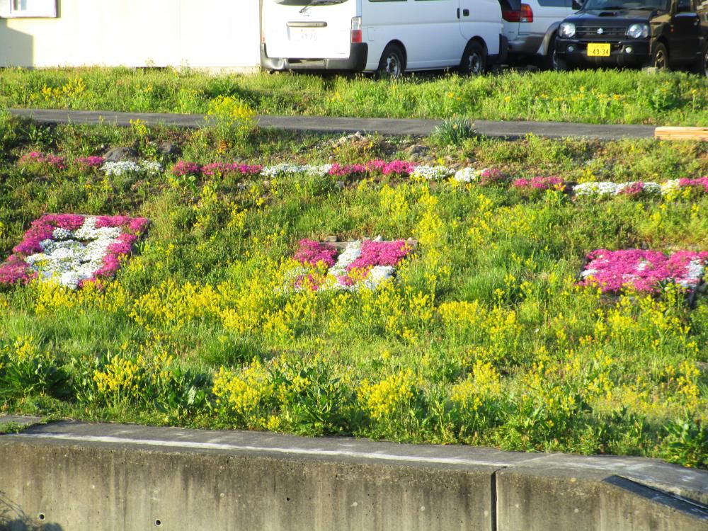 一年にして、こんなにも成長するとは～～