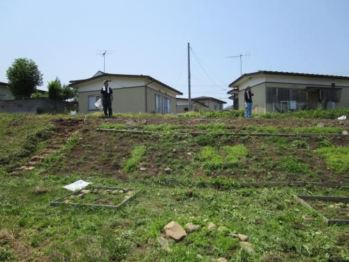 夏向きに「除草作業」の実施