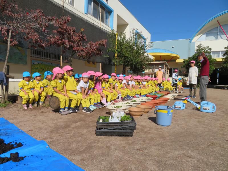 第三弾　あおぞら幼稚園「花育活動」報告