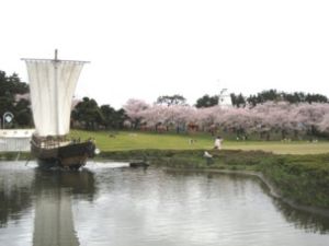 酒田日和山桜まつり