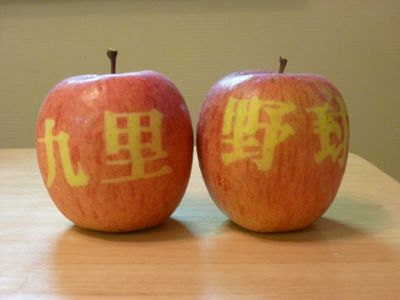 【りんごの差し入れ】芸術りんご
