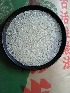美味しいお米試食しました。