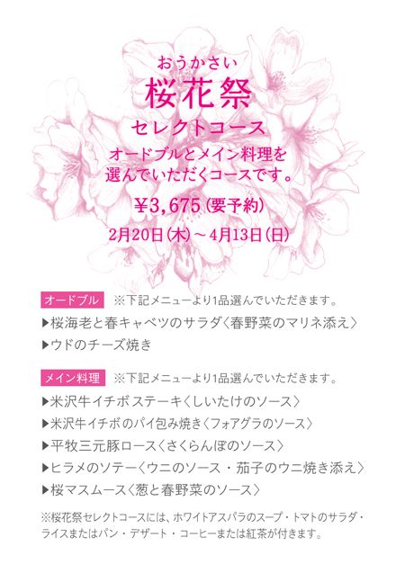桜花祭開催中！！