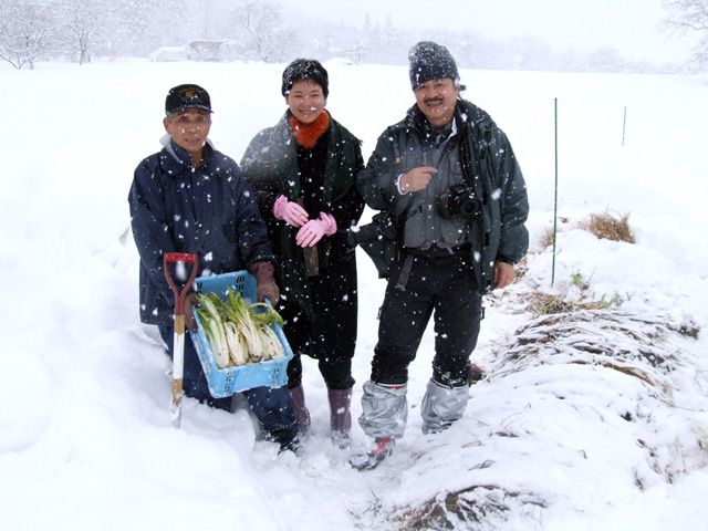 島村菜津さん、雪菜の取材で山形に