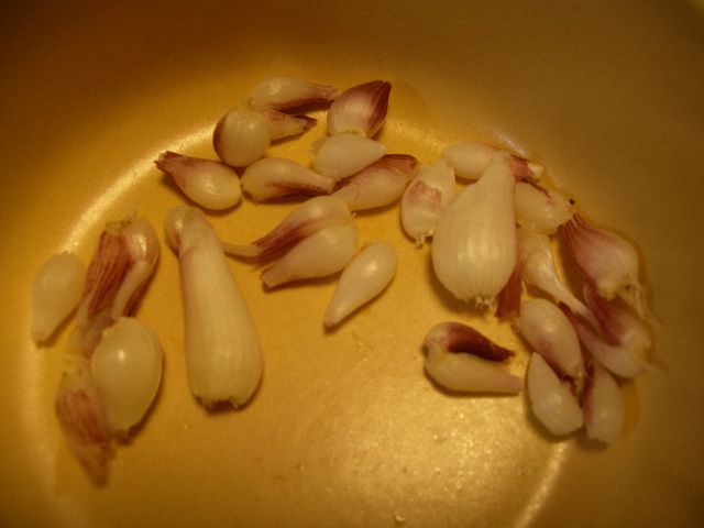 お味噌で味わうアサツキ（浅葱）の根っこ