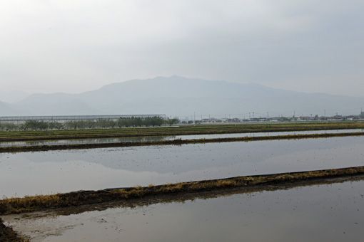 「逆さ龍」：水鏡に映る蔵王連峰前衛山