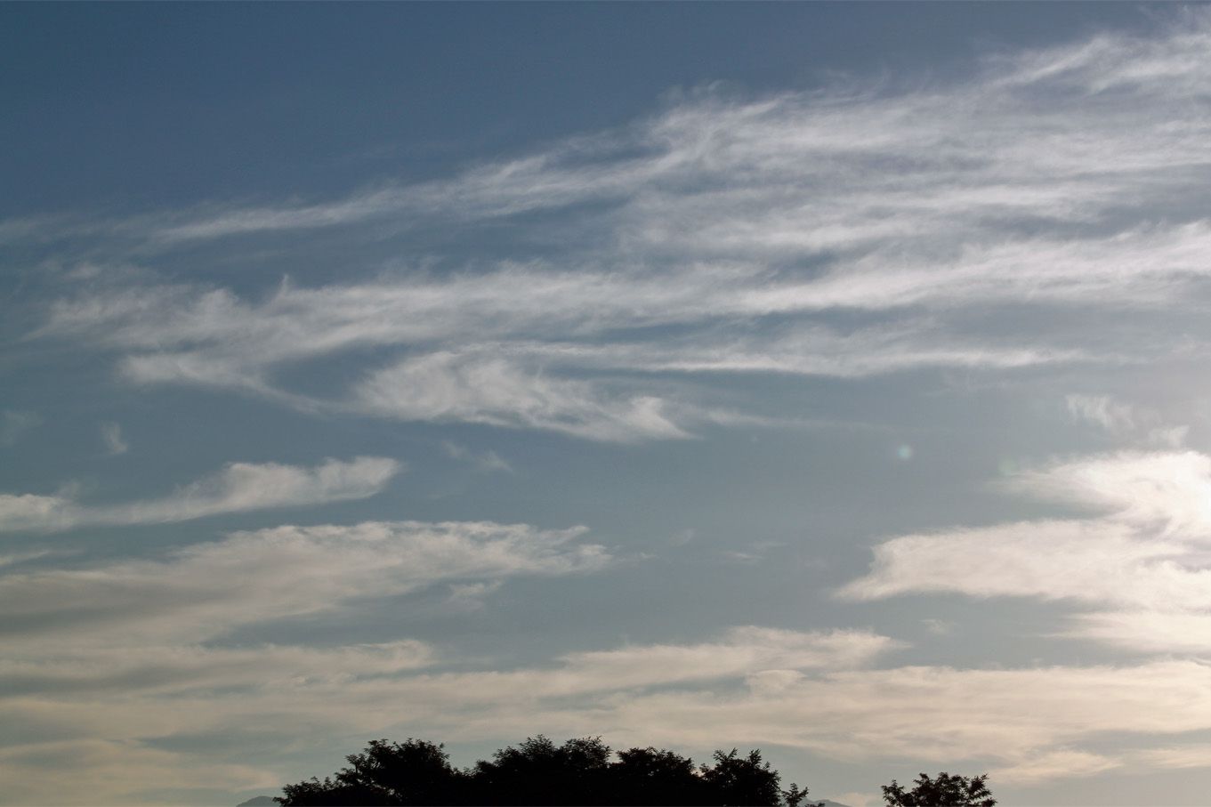 ドピーカンな朝。